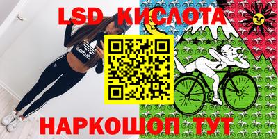 гидра Краснодар
