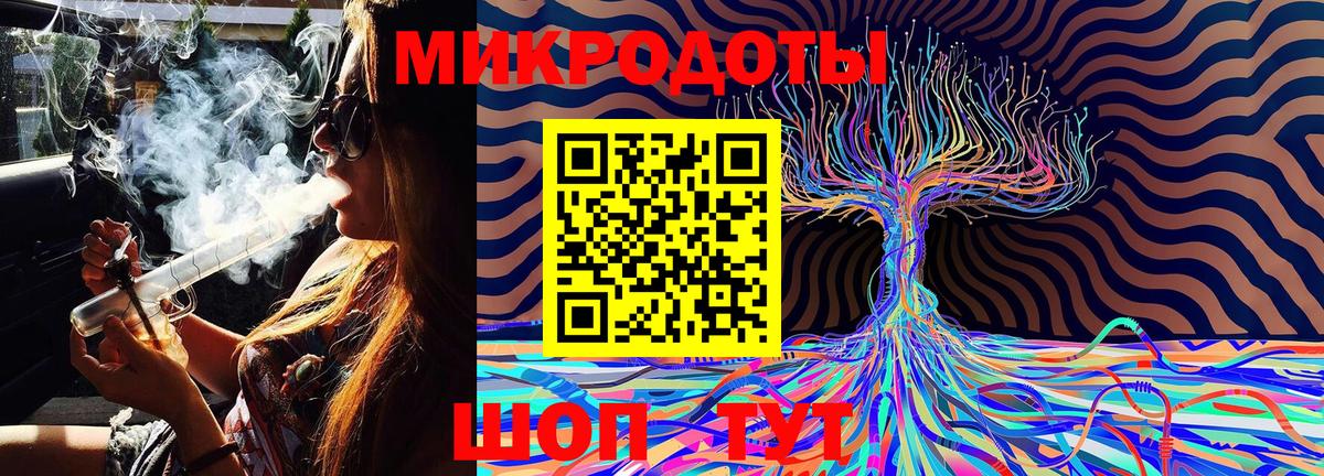 Анжеро-Судженск  наркота  Галлюциногенные грибы прущие грибы  Вход с VPN  Псилоцибиновые грибы Psilocybe 