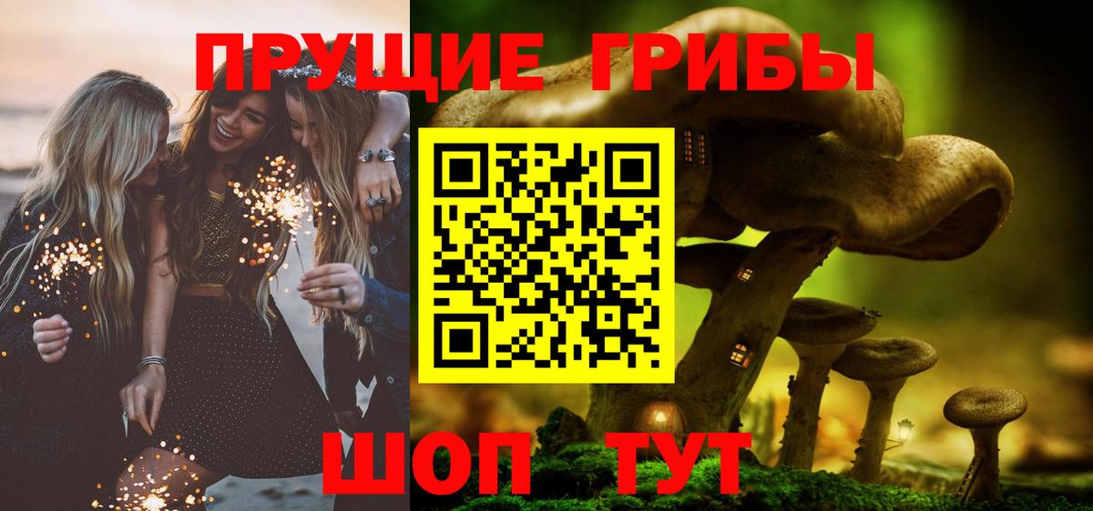 Галлюциногенные грибы Psilocybine cubensis Анжеро-Судженск